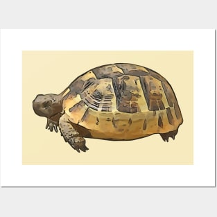 Side View of A Young Wild Tortoise Cartoon Cut Out Posters and Art